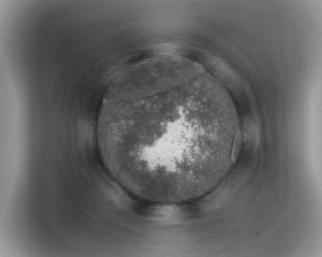 X0000113370409200909151404