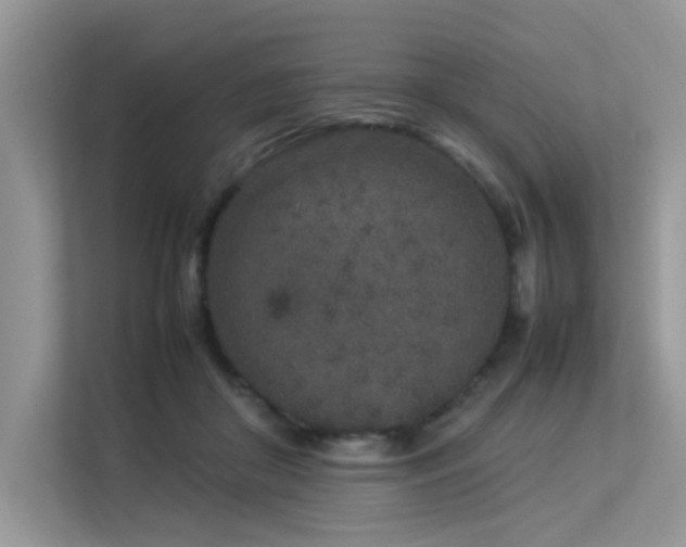 X0000113370410200909151404