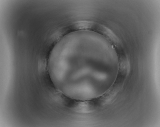 X0000113370411200909151404