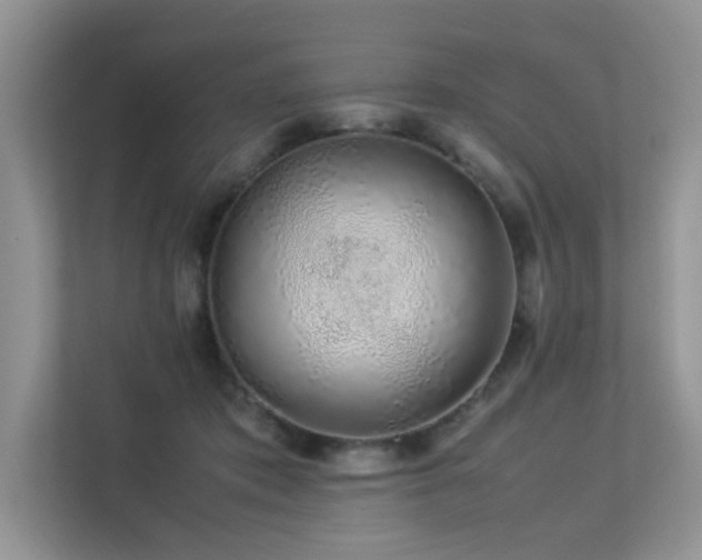 X0000113370413200909151404