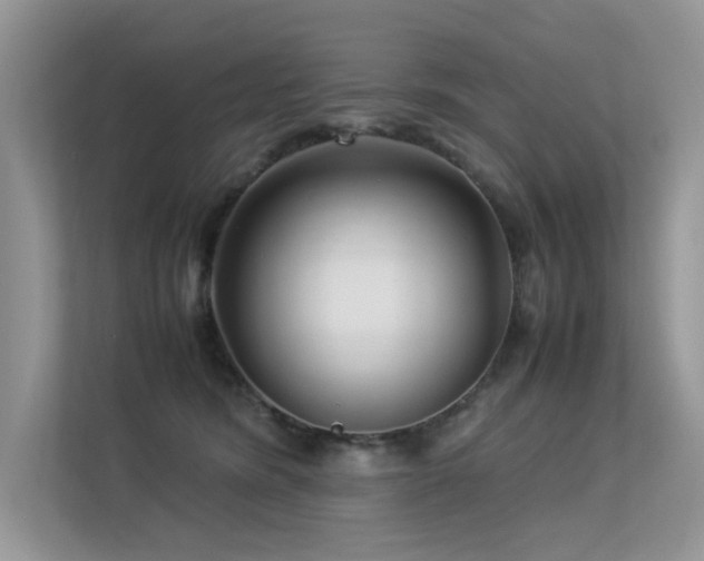 X0000113370420200909151404