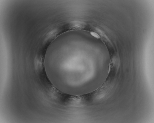 X0000113370423200909151404