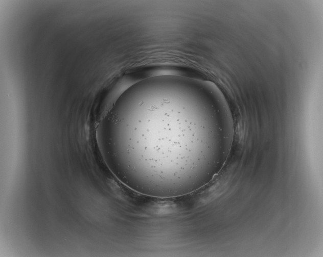 X0000113370424200909151404