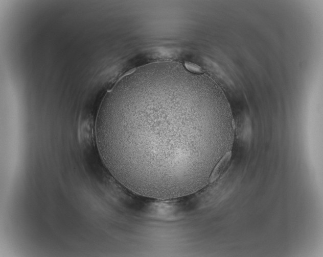 X0000113370425200909151404