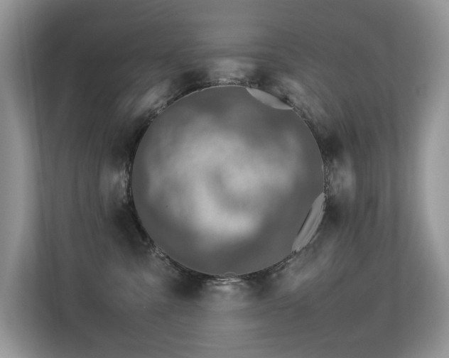 X0000113370427200909151404