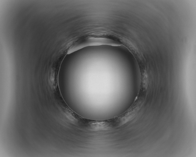 X0000113370428200909151404