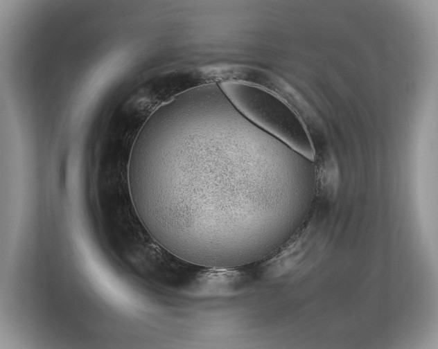 X0000113370429200909151404