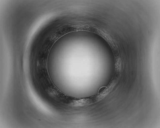 X0000113370430200909151404