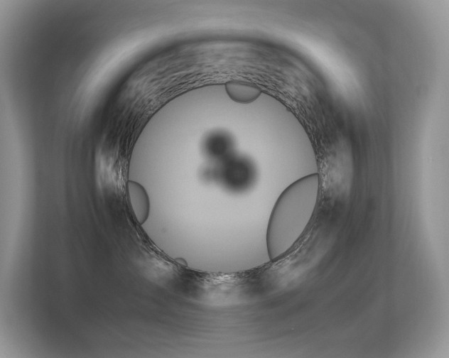 X0000113370431200909151403
