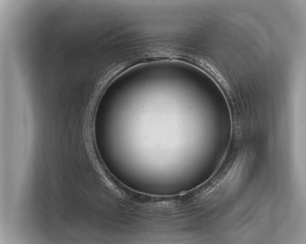 X0000113370433200909151403