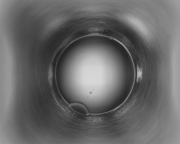 X0000113370435200909151403