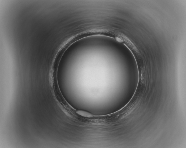 X0000113370436200909151403