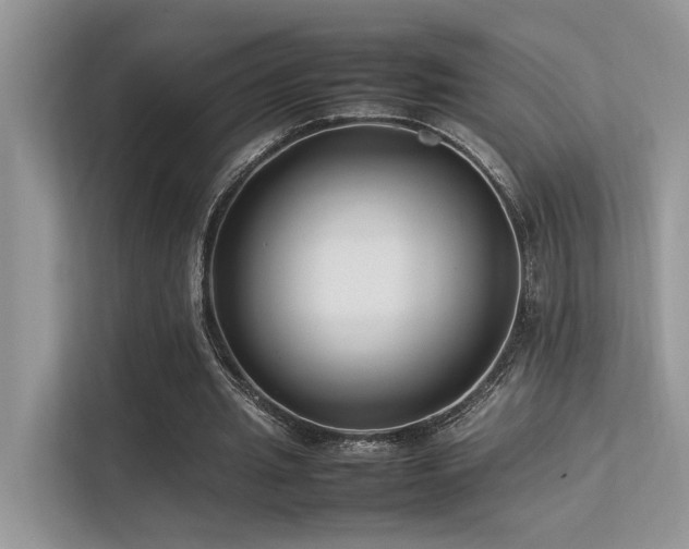 X0000113370437200909151403