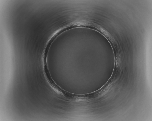 X0000113370438200909151403