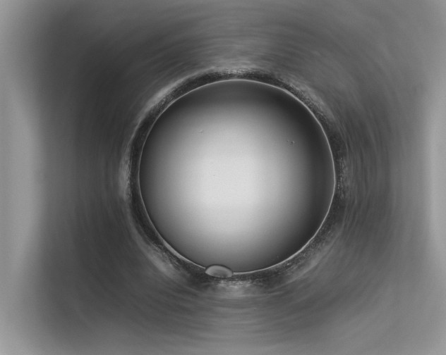 X0000113370440200909151403
