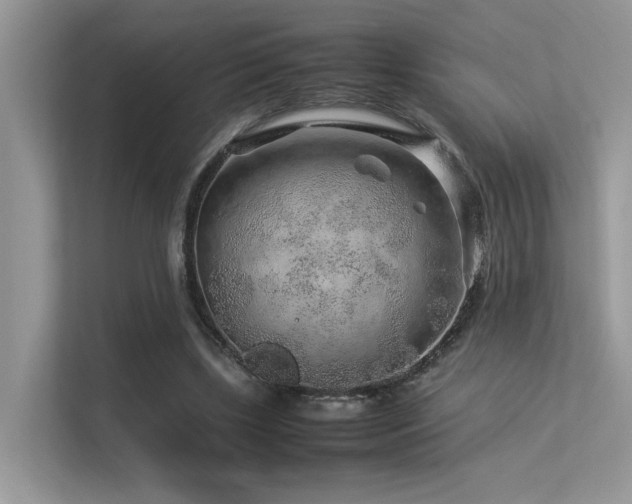 X0000113370443200909151403