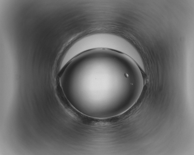 X0000113370444200909151403