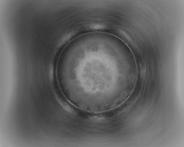 X0000113370447200909151403