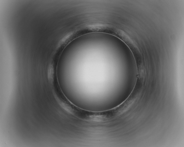 X0000113370448200909151403