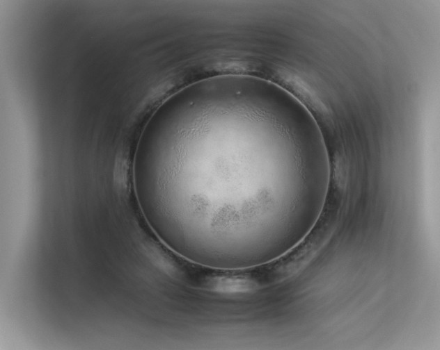 X0000113370449200909151403