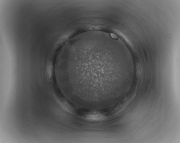 X0000113370451200909151403