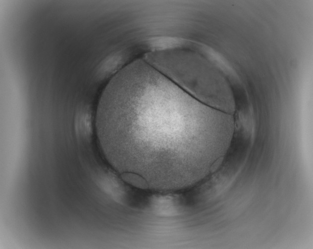 X0000113370452200909151403