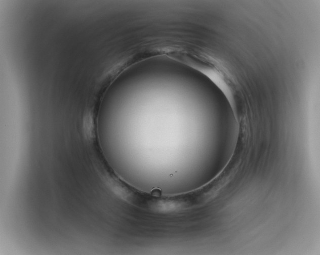 X0000113370453200909151403