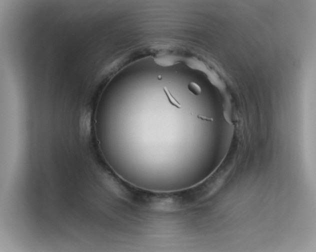 X0000113370454200909151403