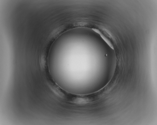 X0000113370455200909151403