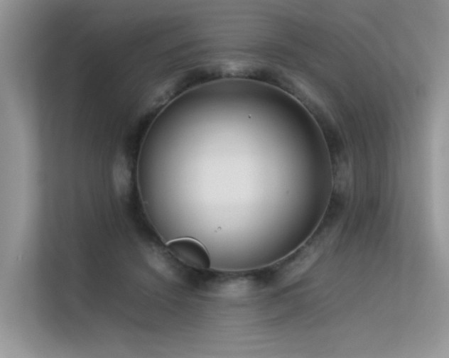 X0000113370456200909151403
