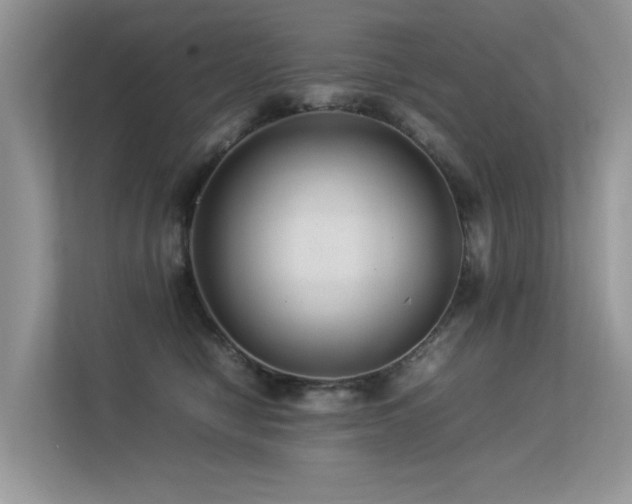 X0000113370470200909151403