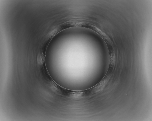 X0000113370474200909151403