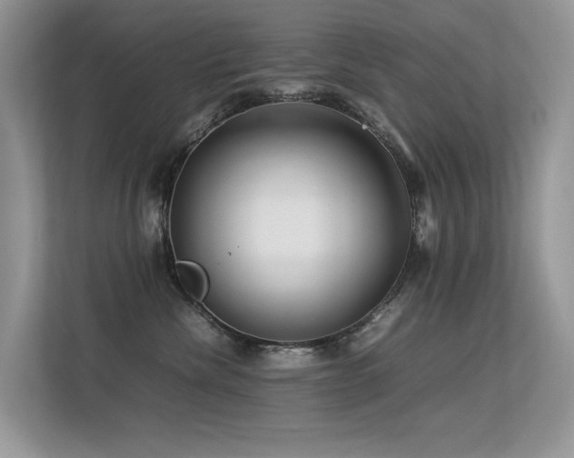 X0000113370476200909151403
