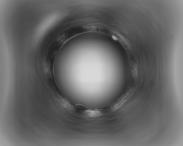 X0000113370477200909151403