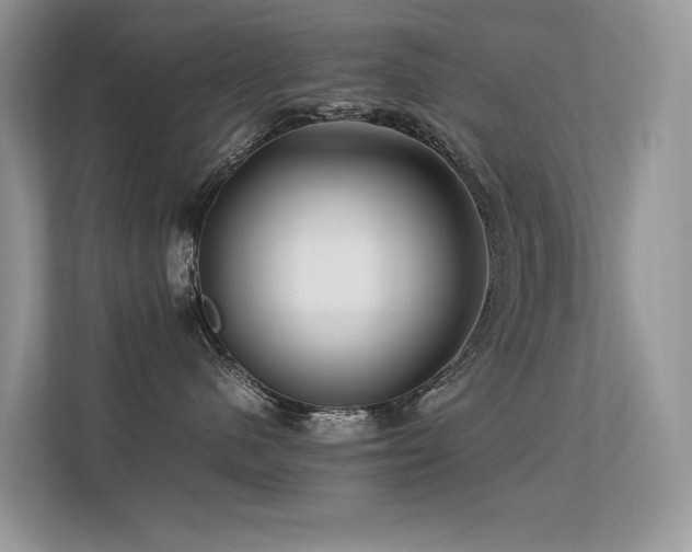 X0000113370480200909151403