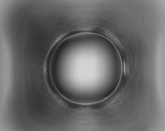 X0000113370483200909151403