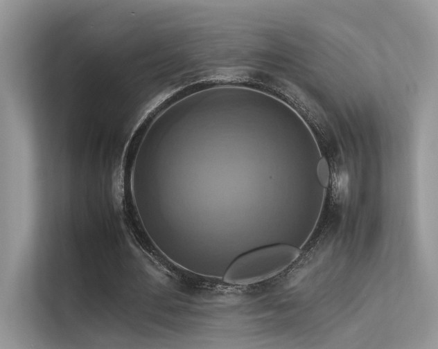 X0000113370484200909151403