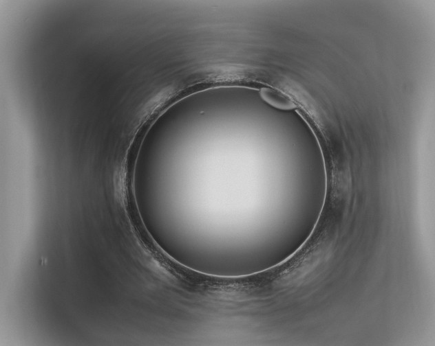 X0000113370485200909151403