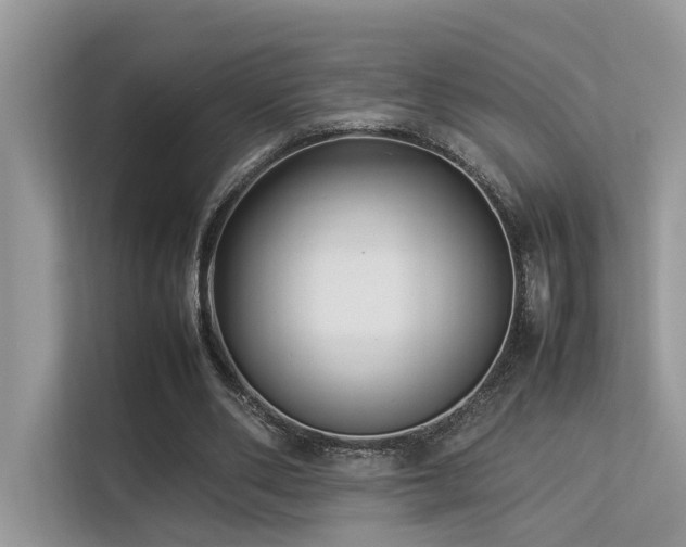 X0000113370486200909151403