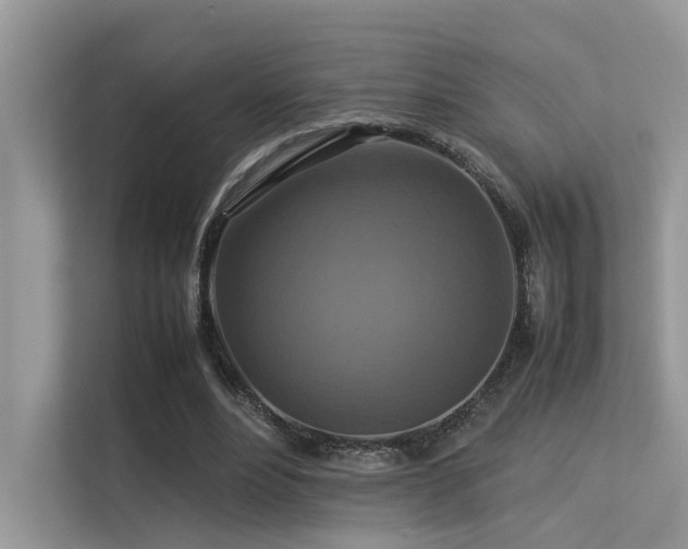 X0000113370488200909151403