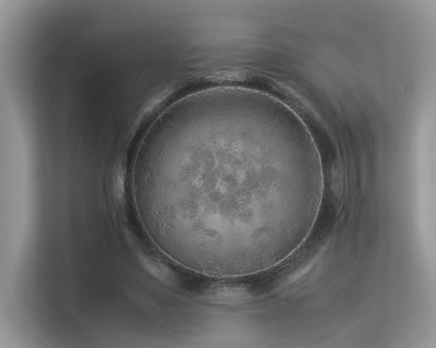 X0000113370491200909151403