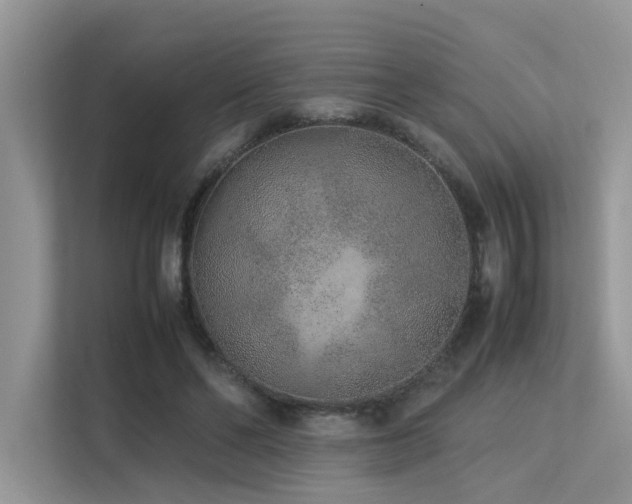 X0000113370494200909151403