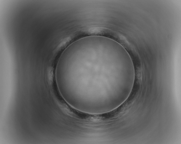 X0000113370495200909151403