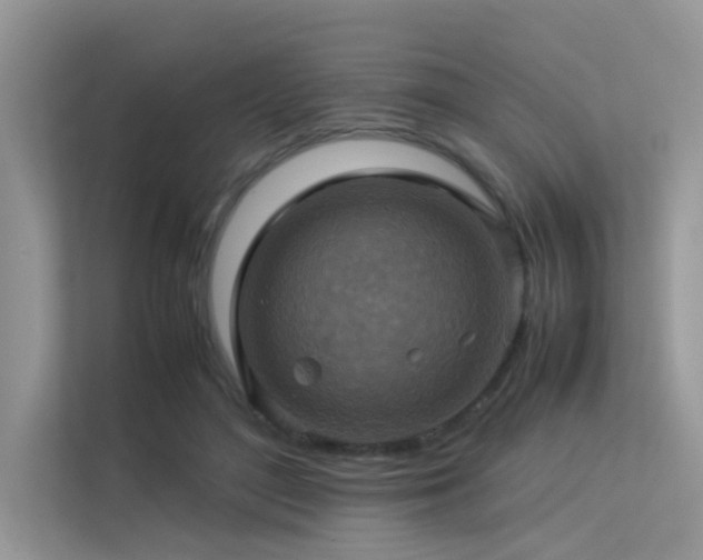 X0000113370500200909151403