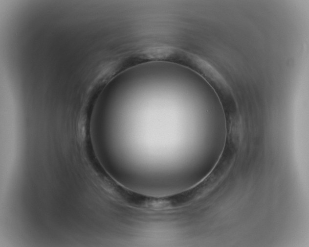 X0000113370501200909151403