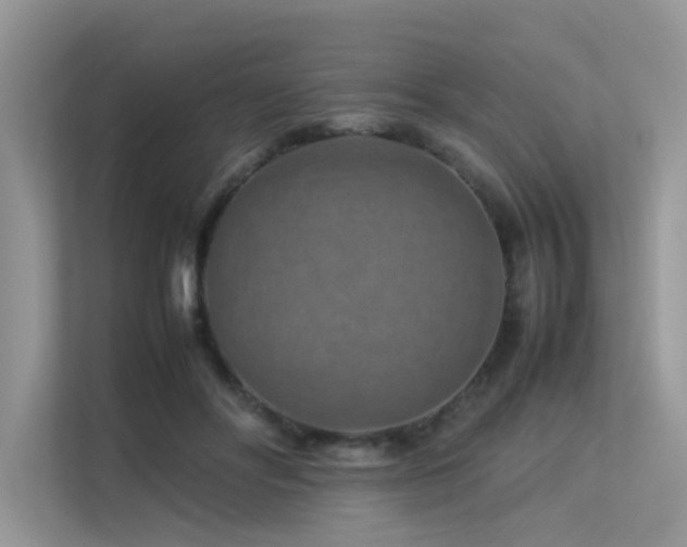 X0000113370502200909151402