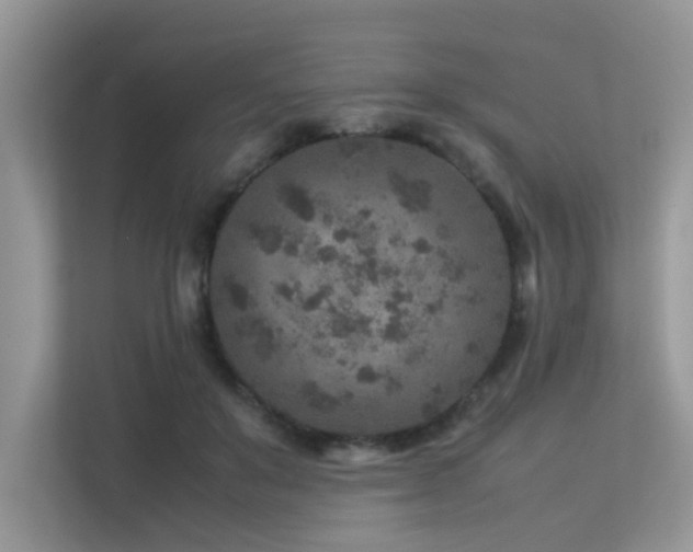 X0000113370503200909151402