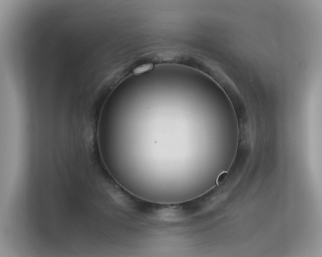 X0000113370505200909151402
