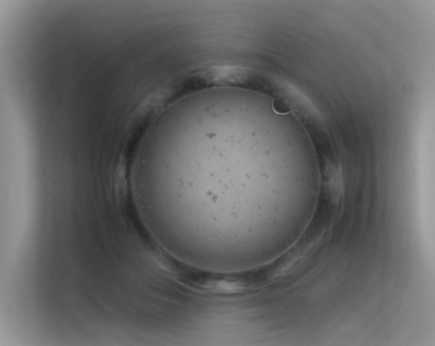 X0000113370506200909151402