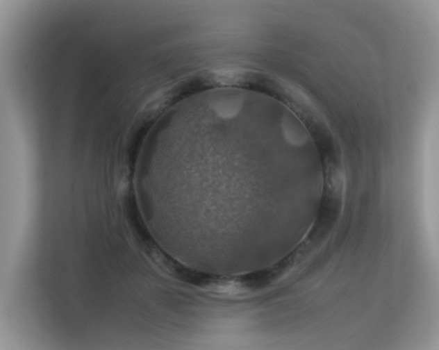 X0000113370507200909151402